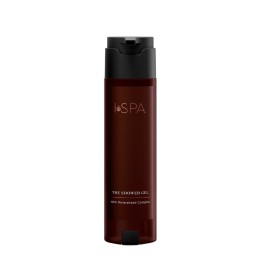 iSPA Shower Gel, SHAPE dispenser, 300 ml