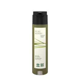 Șampon păr și corp Pure Herbs, dozator SHAPE, 300 ml